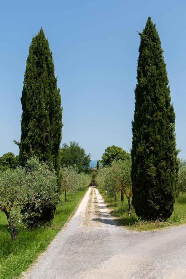 Bed & Breakfast Il Rossignolo